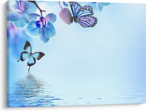 Kép - Pillangó orchidea virágon, kék (70x50 cm)