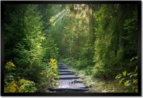 Poszterek keretben 60x40 Tájkép