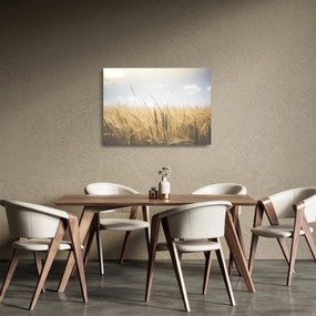 A gabona képe (üvegen) (70x50 cm)
