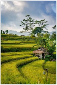 Poszterek 60x90 Tájkép Látvány