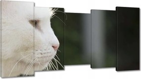 Vászonkép 150x80 Macska tekintet Cica