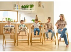 Lionelo - Gyerek etetőszék 3 az 1-ben CELIA Szürke fa