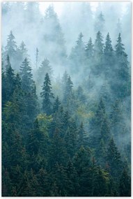 Poszterek 80x120 Erdő a ködben Utazás