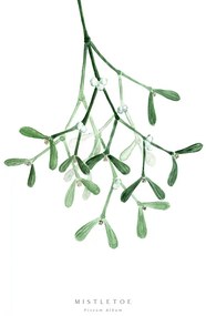 Illusztráció Watercolor mistletoe illustration, Blursbyai