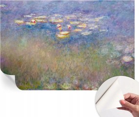 Fotótapéta Dekoratív Fali Tapéta Vízi liliomok 104x70