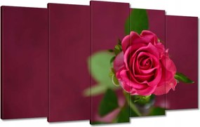 Vászonkép 100x60 Rózsa lila háttérrel