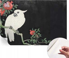 Öntapadós fotótapéta Nappali és Hálószoba Papagáj gránát 152x104