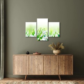 Kép - Hóvirág (90x60 cm)