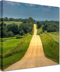 Vászonkép 60x60 Út Rét Mező Erdő