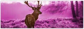 Poszterek 200x66 Szarvas a lila erdőben