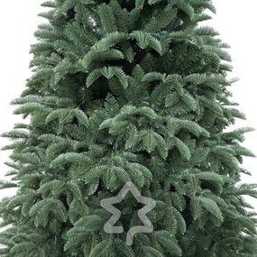 Oregon jegenyefenyő 180 cm