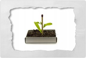 Poszterek 120x80 Zöld erő