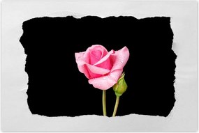 Poszter 90x60 Rózsaszín rózsabimbó