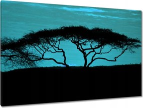 Festmények 120x80 Akác a szavannán