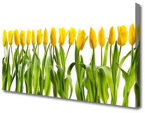 Vászonkép falra Tulipán virágok természet 125x50 cm
