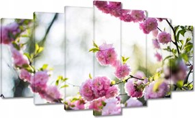 Vászonkép 140x80 Rózsaszín virágok Gyönyörű