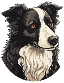 PIPPER. Matrica Border collie Méret: 60cm