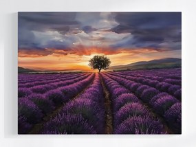 Canvas Vászonkép Levendula Mező Naplemente Provence 80x60