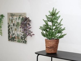 Mohaifű kaspó SEAGRASS BASKET 20 cm