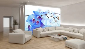 Fotótapéta - Absztrakt virágos művészet (152,5x104 cm)