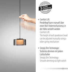 Paul Neuhaus modern függeszték rika fekete füstös pln2113-18