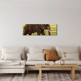 Egy elefánt képe (órával) (90x30 cm)