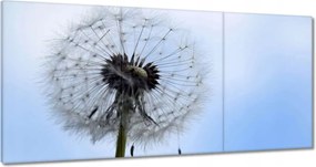 Vászonkép 120x60 Hétköznapi pitypang