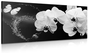 Kép lepke és orchidea fekte fehérben