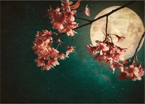 Kép - Sakura teliholdkor (70x50 cm)