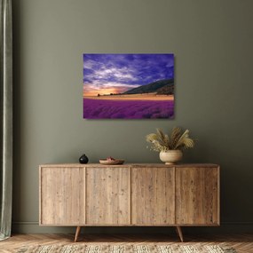 A levendula rét képe (üvegen) (70x50 cm)