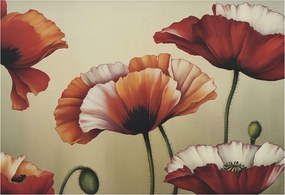 Fotótapéta Dekoratív Fali Tapéta Képekkel Vidám pipacsok 152x104