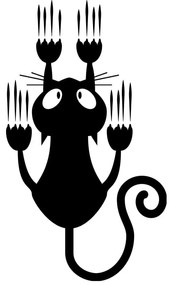 Sliding Cat falmatrica - Ambiance