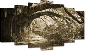 Képek 140x80 Tölgyek a Szépia parkban