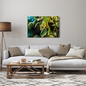 Kaméleon képe (90x60 cm)