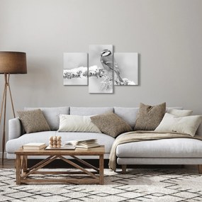 Kép - Egy madár egy ágon (90x60 cm)