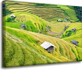 Vászonkép Természet Mezőgazdasági teraszok 70x50 cm