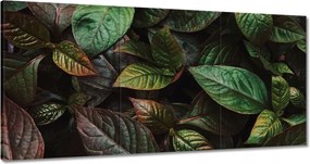 Vászonkép 180x90 Trópusi levelek Levelek