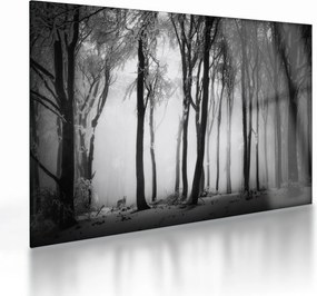 Üveg kép - Farkas a sötét erdőben (70x50 cm)