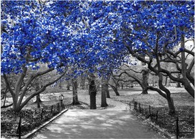Kép - Kék fák, Central Park, New York (70x50 cm)
