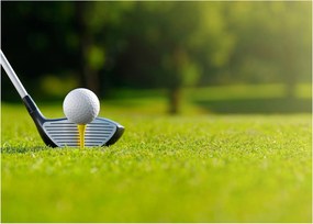 Kép - Golf (70x50 cm)