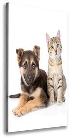 Vászonkép Kutya és macska ocv-94452483