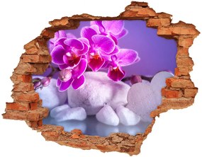 Fali matrica lyuk a falban Orchidea és a szív nd-c-82482729