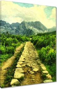 Vászonkép 60x80 Napsütéses nap a Tátrában