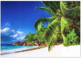 Poszterek 100x70 Trópusok Tájkép Pálmafák