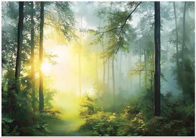 Fotótapéta erdő reggeli köd napsugarak titokzatos éghajlat természet 416