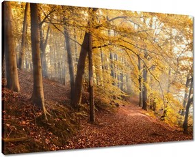 Våszonkép 70x50 Tåjkép Låtvåny