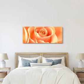 Kép - A Rózsák, barack színű (120x50 cm)