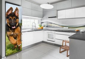 Hűtő matrica Német juhász FridgeStick-70x190-f-109543381