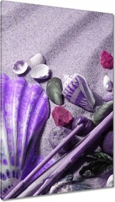 Vászonkép 80x120 Lila kagyló