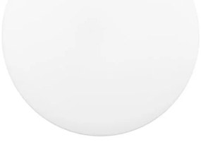 Ecolite WYB230-CCT/12W/BI - LED Mennyezeti lámpa DISK LED/12W/230V IP44 fehér